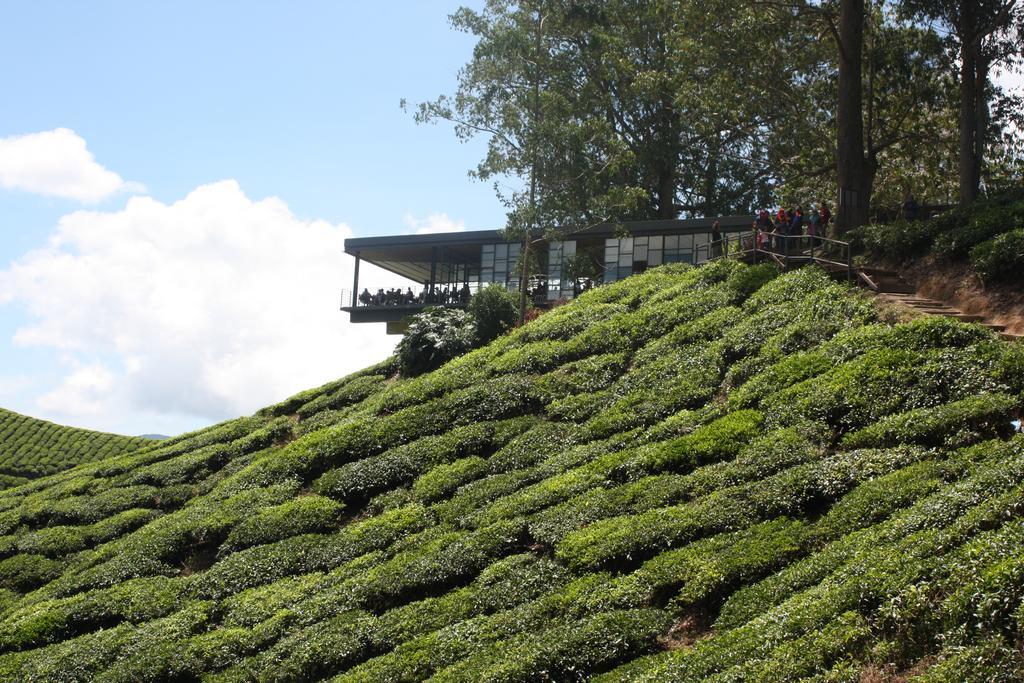 Cameron Strawberry Residence Cameron Highlands Esterno foto