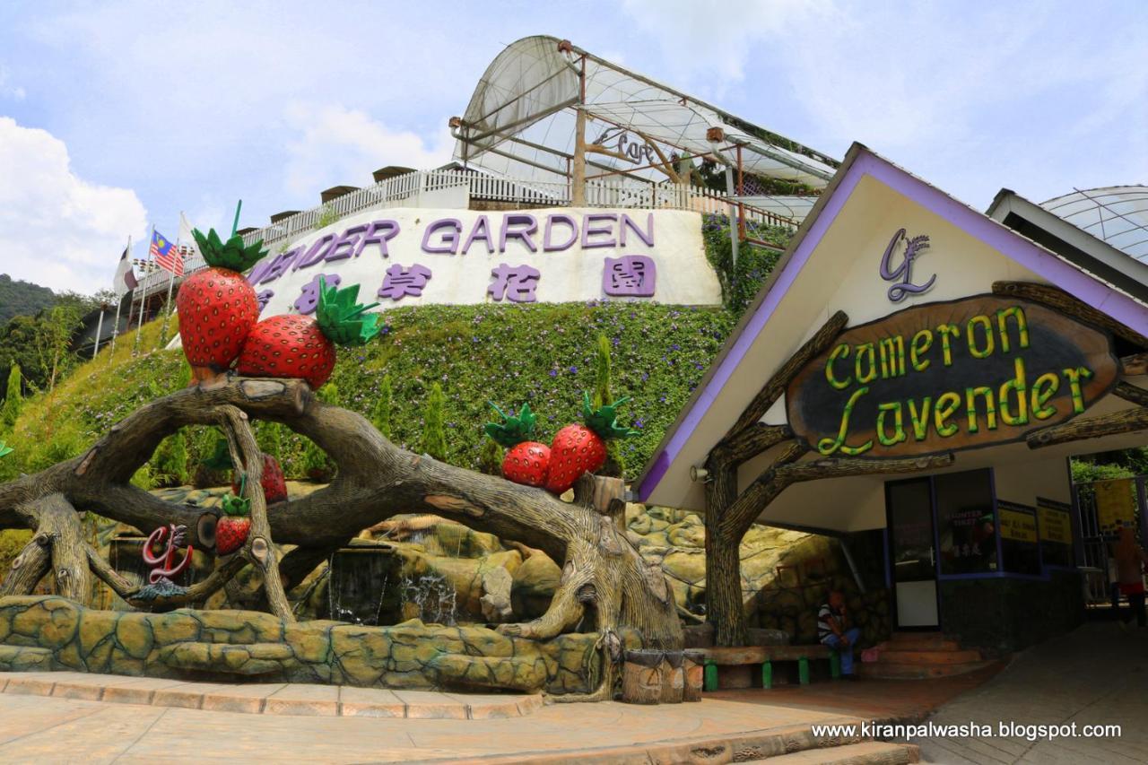 Cameron Strawberry Residence Cameron Highlands Esterno foto